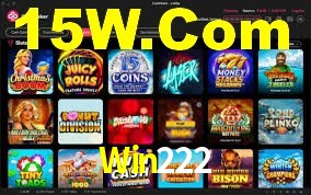 Premium Interface Win222